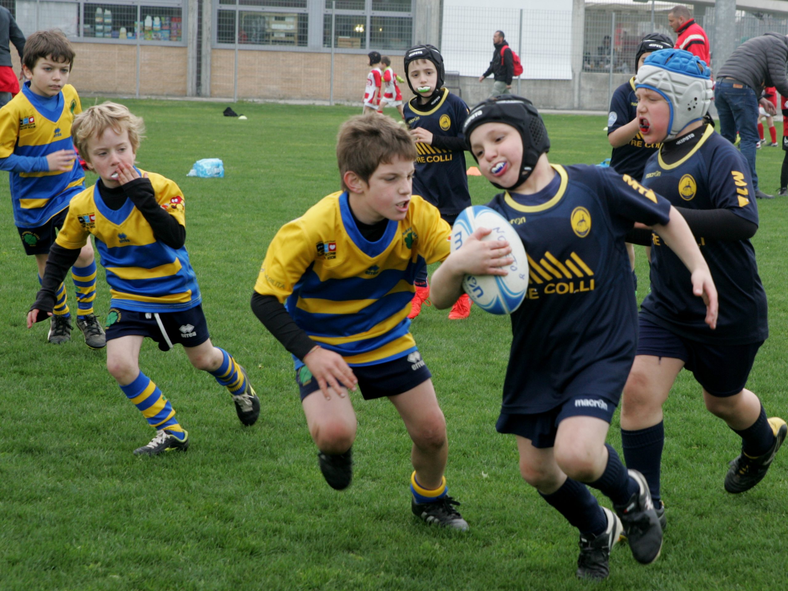 24° Colla - De Sensi